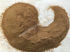 Sacred Lotus, Nelumbo nucifera, All Natural 100:1 Extract ~ Schmerbals Herbals