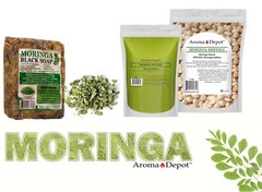 Moringa KERNELS 2 oz. Seeds oleifera Shelled 250 Semilla De Moringa Wholesale