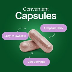 Astragalus Root Extract Capsules 20:1 Immune Support 250 Count