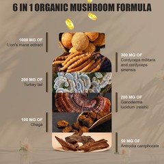 2 Bottles Lion’s Mane Mushroom Complex 120 Capsules Daily Focus Immune Support