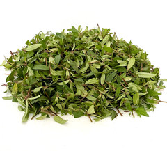 Dried Osbeckia Octandra Melastomatacea Ayurvedic Fatty Liver Cirrhosis Medicine