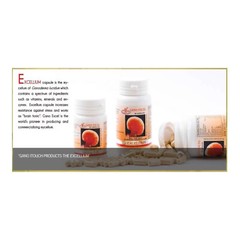 Gano Excel Excellium 90 Capsules Expired 2027 FREE SHIPPING FROM USA
