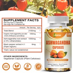 Ashwagandha KSM-66 extract helps alleviate anxiety stress in cognitive nerves