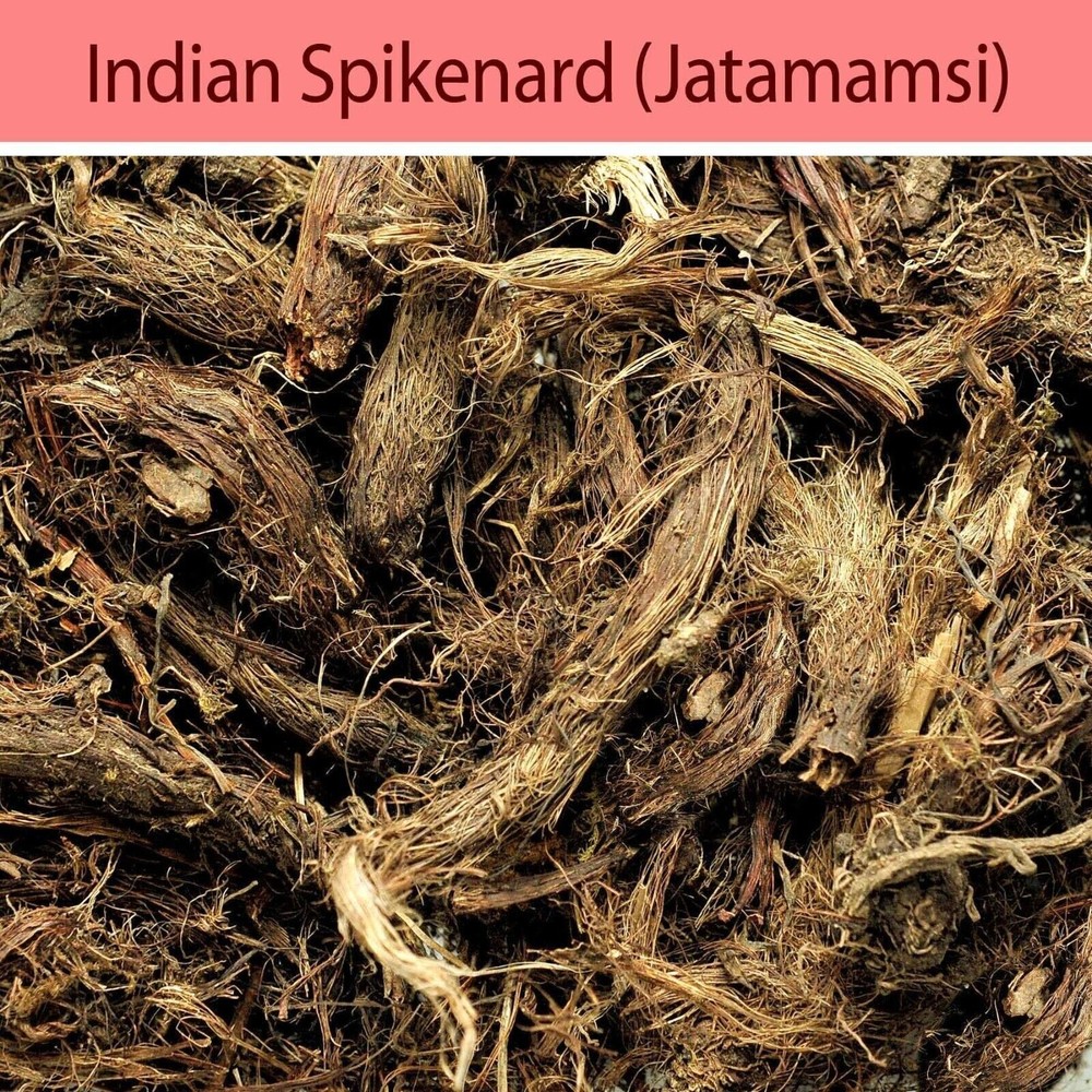Jatamansi Root Balchad Jatamasi Indian Spikenard Nardostachys Jatama