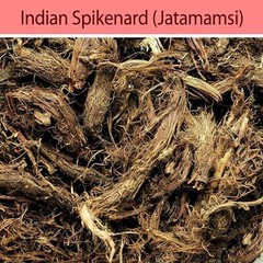 Jatamansi Root Original Balchad Jatamasi Indian Spikenard Nardostachys Jatama