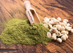 Moringa KERNELS 2 oz. Seeds oleifera Shelled 250 Semilla De Moringa Wholesale