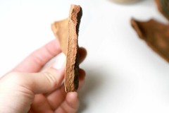 Cinnamon Cassia Bark 2.5oz
