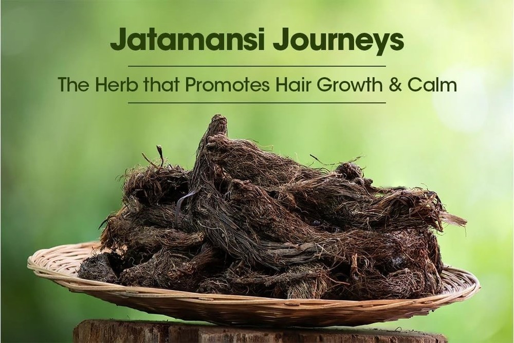Patil Foods Jatamansi Powder – Spikenard (Nardostachys Jatamansi)