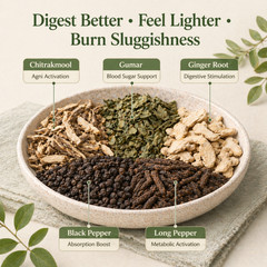 Digestive Formula – Kapha – for Chronic Congestion & Weight Gain #51