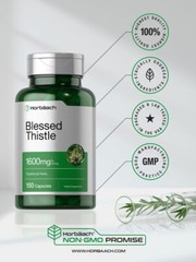 Blessed Thistle 1600 mg | 150 Capsules | Non-GMO, Gluten Free | by Horbaach
