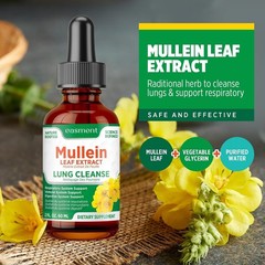 Alcohol-Free Herbal Mullein Extract Drops for Lung Comfort – & Non-Toxic