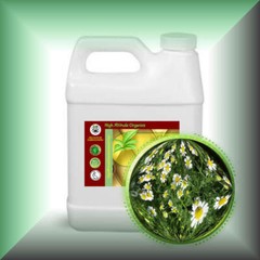 Chamomile Herbal Oil Extract