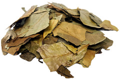 Hojas de Guanabana Te Herbal Infusion Value Pack (105g) Soursop Leaves Tea