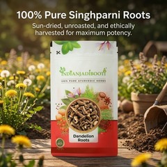 IndianJadiBooti Dandelion Roots | Singhparni Jadd Taraxacum | 250g Herbal Pack