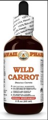 Wild Carrot (Daucus Carota) Dry Seed Tincture, All Natural, Vegan, Pure Liquid E