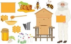 Bee Venom Capsules, Cápsulas de Veneno de abejas , Veleno d’api, 200 pieces