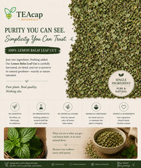 Lemon Balm Tea Cut Leaf 1-32 oz Melissa officinalis Herbal Botanical