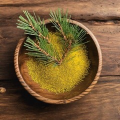 Pine Extract Pine Tincture Liquid Dual Extract Suramin Shikimic Acid Pure USA