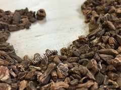 Dandelion Root, Taraxacum officinale, Roasted ~ Schmerbals Herbals