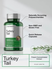 Horbäach Turkey Tail Mushroom Capsules | 120 Count | 120 (Pack of 1)