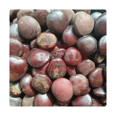 Patil Foods Tamarind Seeds (Pahadi Imli Beej) – Whole Mountain Imli Seeds