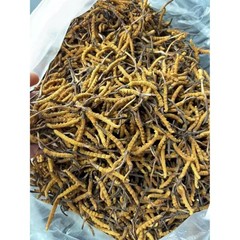 Whole Wild Himalayan Cordyceps Sinensis | 3 Grams | Best Price! | Free Shipping