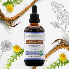 Secrets Of The Tribe Dandelion Root Tincture Alcohol-FREE