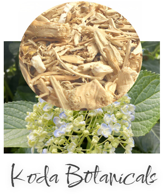 HYDRANGEA Herbal Tea PREMIUM GRADE Hydrangea aborescens Dried Root