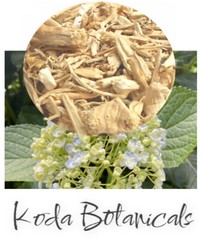 HYDRANGEA Herbal Tea PREMIUM GRADE Hydrangea aborescens Dried Root