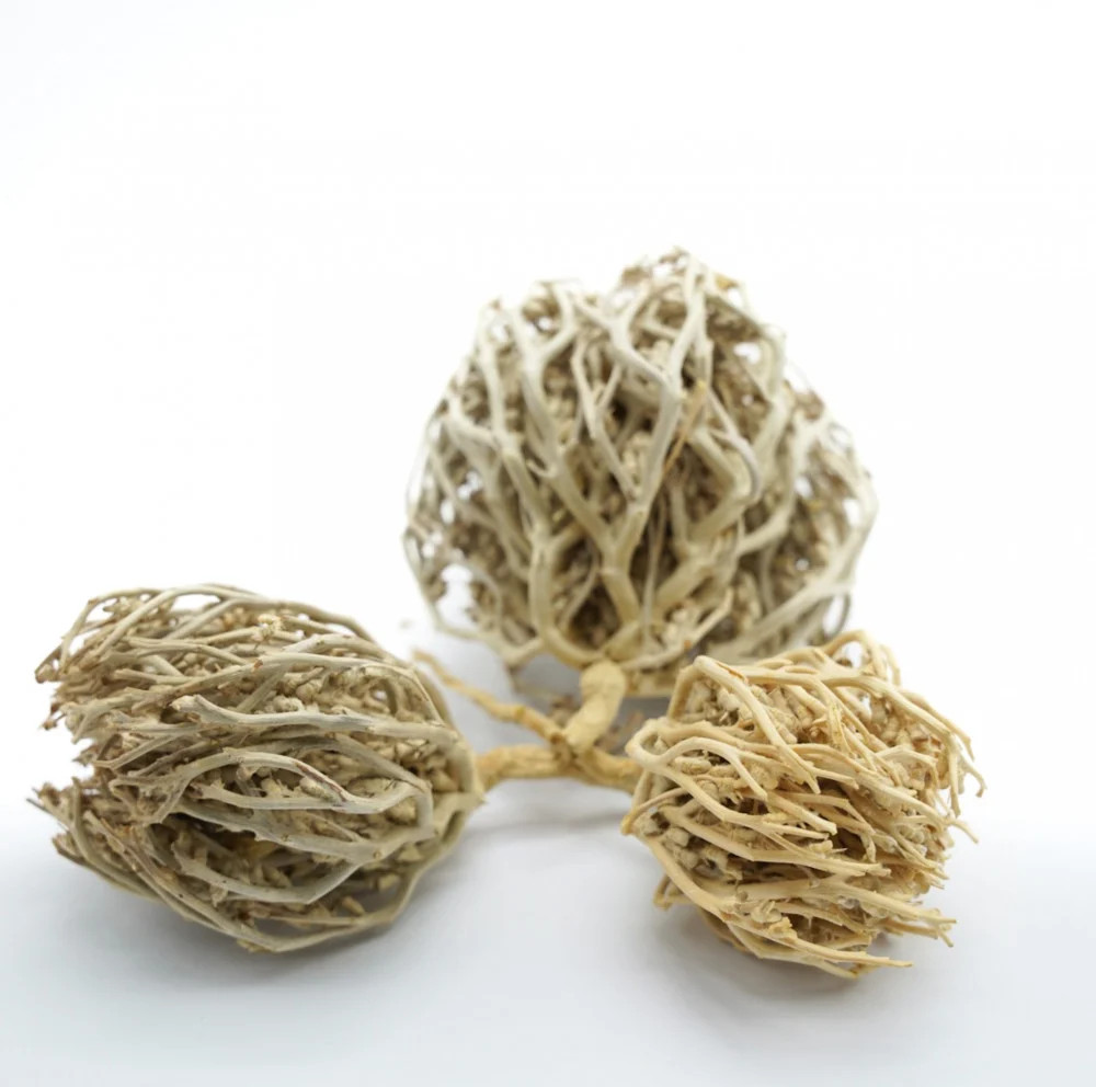 (50g) Rose of Jericho Flower – Kaf Maryam – Anastatica hierochuntica كف مريم