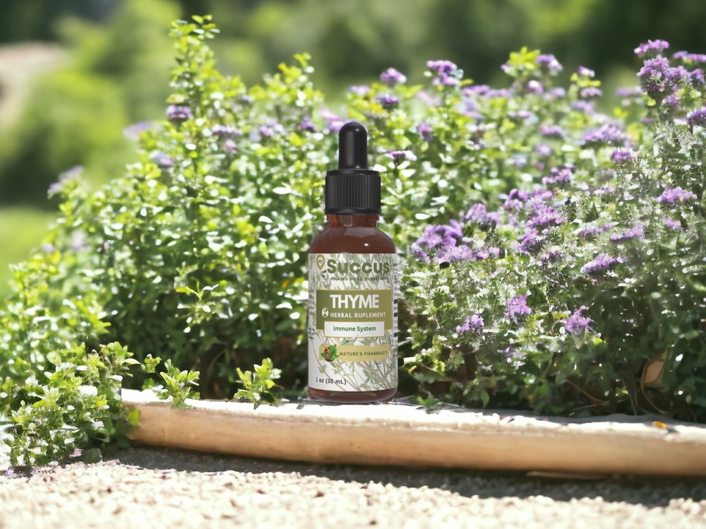 Thyme Tincture – Immune System (Alcohol Free)