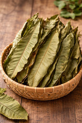 Natural Whole Dried Mango Leaves, Mango Loose Leaf, (Hojas de Mango): 2 oz-4 oz
