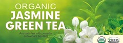 Organic Jasmine Green Tea Bags 100 Count Individually Wrapped | Lower Caffeine |