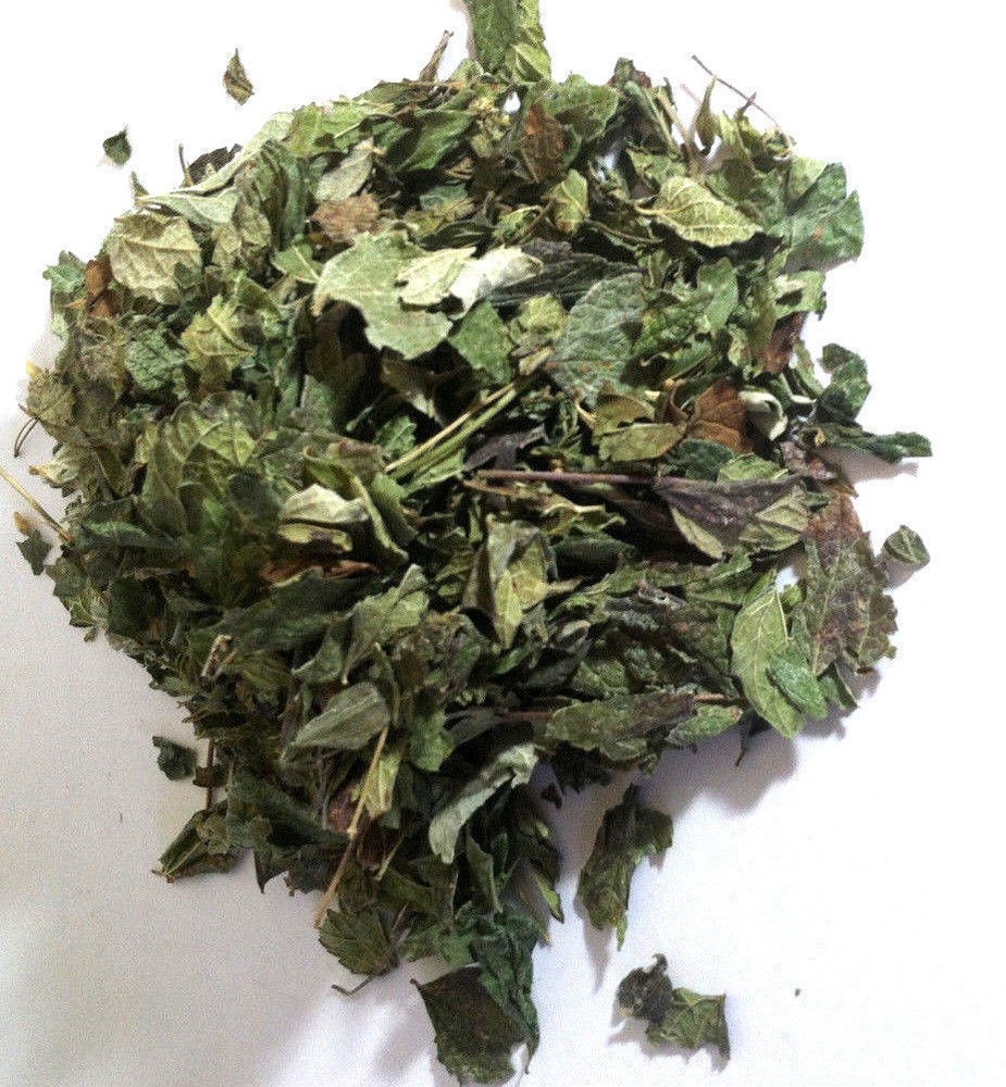 1 Lb. Mexican Dream Herb (Calea Zacatechichi) Wildharvested Mexico