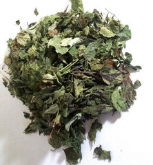 1 Lb. Mexican Dream Herb (Calea Zacatechichi) Wildharvested Mexico