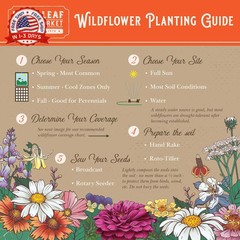 Wildflower Seeds Bulk, 2 Oz. 80,000+ Seeds – Save the Bees Mix with 19 Non-GMO V