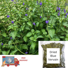 Dried Wild Blue Vervain Jamaican Porterweed Herb Pure 100% Free Shipping