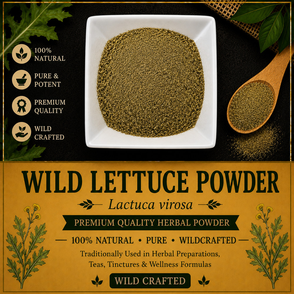 Wild Lettuce Powder Lactuca virosa Wild Crafted Herbal Leaf Powder | USA | Fresh