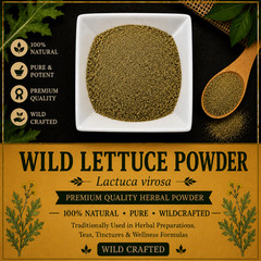 Wild Lettuce Powder Lactuca virosa Wild Crafted Herbal Leaf Powder | USA | Fresh