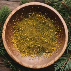 Pine Extract PINE POLLEN TINCTURE Suramin Shikimic Acid Pure USA