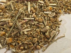 Wormwood, Artemisia absinthium, Herb ~ Schmerbals Herbals