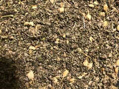 No.32 Herbal Blend Mix – Ginger Jasmine Wild Lettuce Skullcap +Plus Other Herbs!