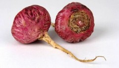 Red Maca Root – Vegetable Capsules 500mg Each – USDA Organic – Non GMO