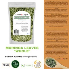 1.5lb Moringa oleifera Leaf Powder 100% Pure Natural Superfood 24 oz. JAR