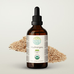 HerbEra Hydrangea Alcohol-FREE Tincture, Organic (Hydrangea arborescens)