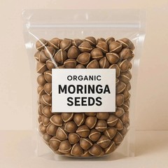 Organic Moringa Seeds | Moringa Oleifera | Fresh Dried, Non GMO, Edible,Planting