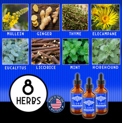 Artisan Lung & Respiratory Support Tincture Mullein, Elecampane Thyme +MORE USA