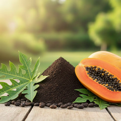 Organic Papaya Seed Powder | 100% Natural Dried Papaya Seeds | Herbal Superfood