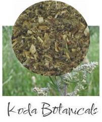 ORGANIC MUGWORT Herbal Tea PREMIUM GRADE Artemisia vulgaris Dried Herb