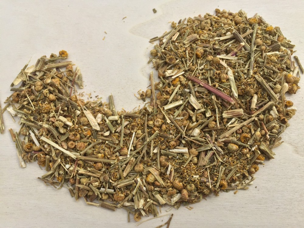 Wormwood, Artemisia absinthium, Herb ~ Schmerbals Herbals
